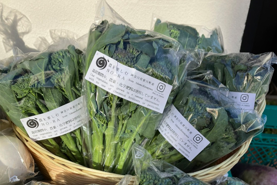 愛川町産スティックブロッコリー