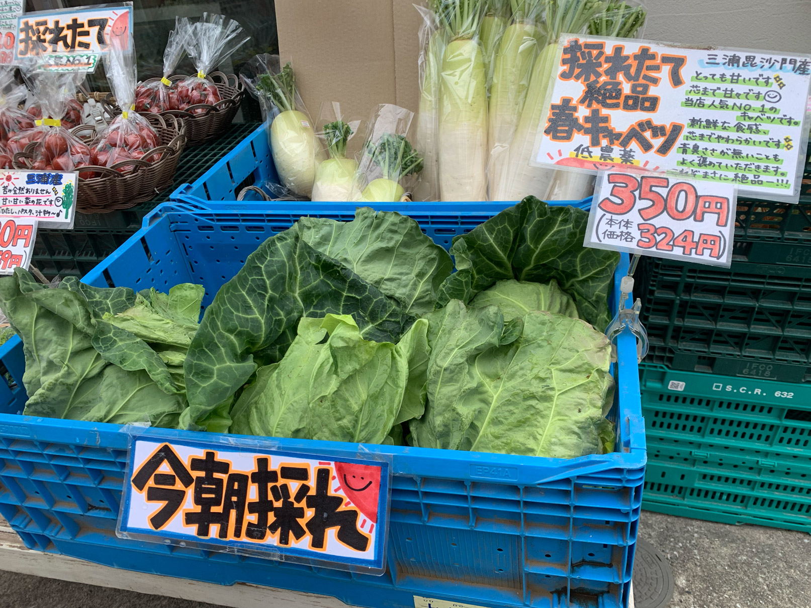 採れたて野菜を仕入れに