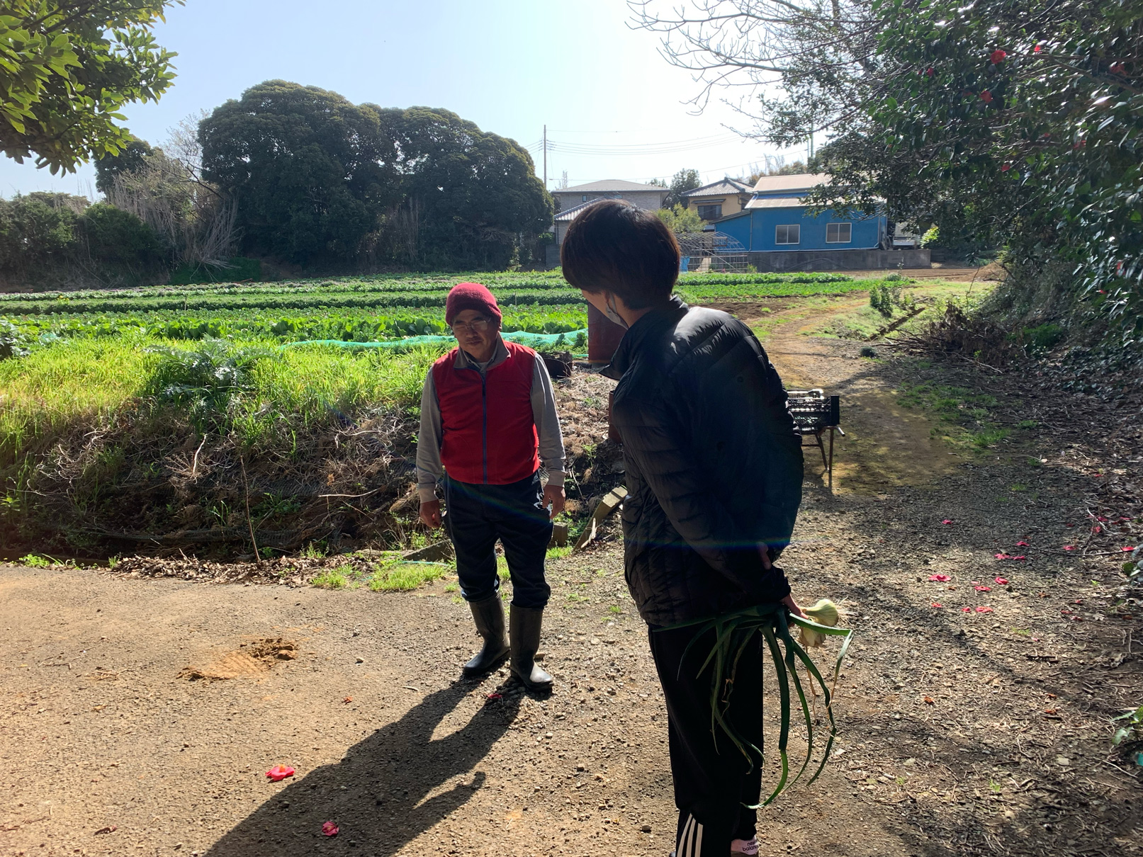 採れたて野菜を仕入れに