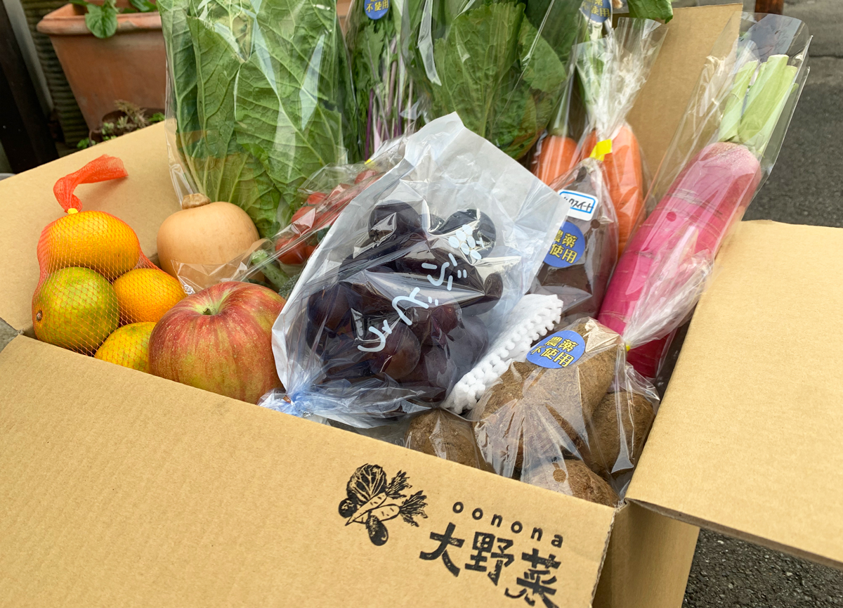 旬のおまかせ野菜・果物セット5,000円分